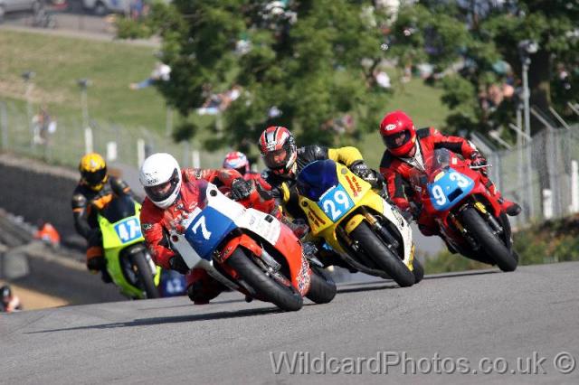 WildcardPhotos.co.uk_7630