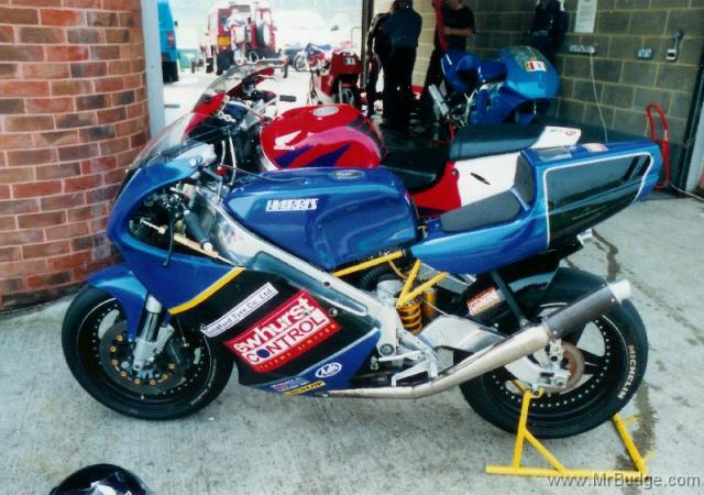 HarrisBrandsPaddockStand